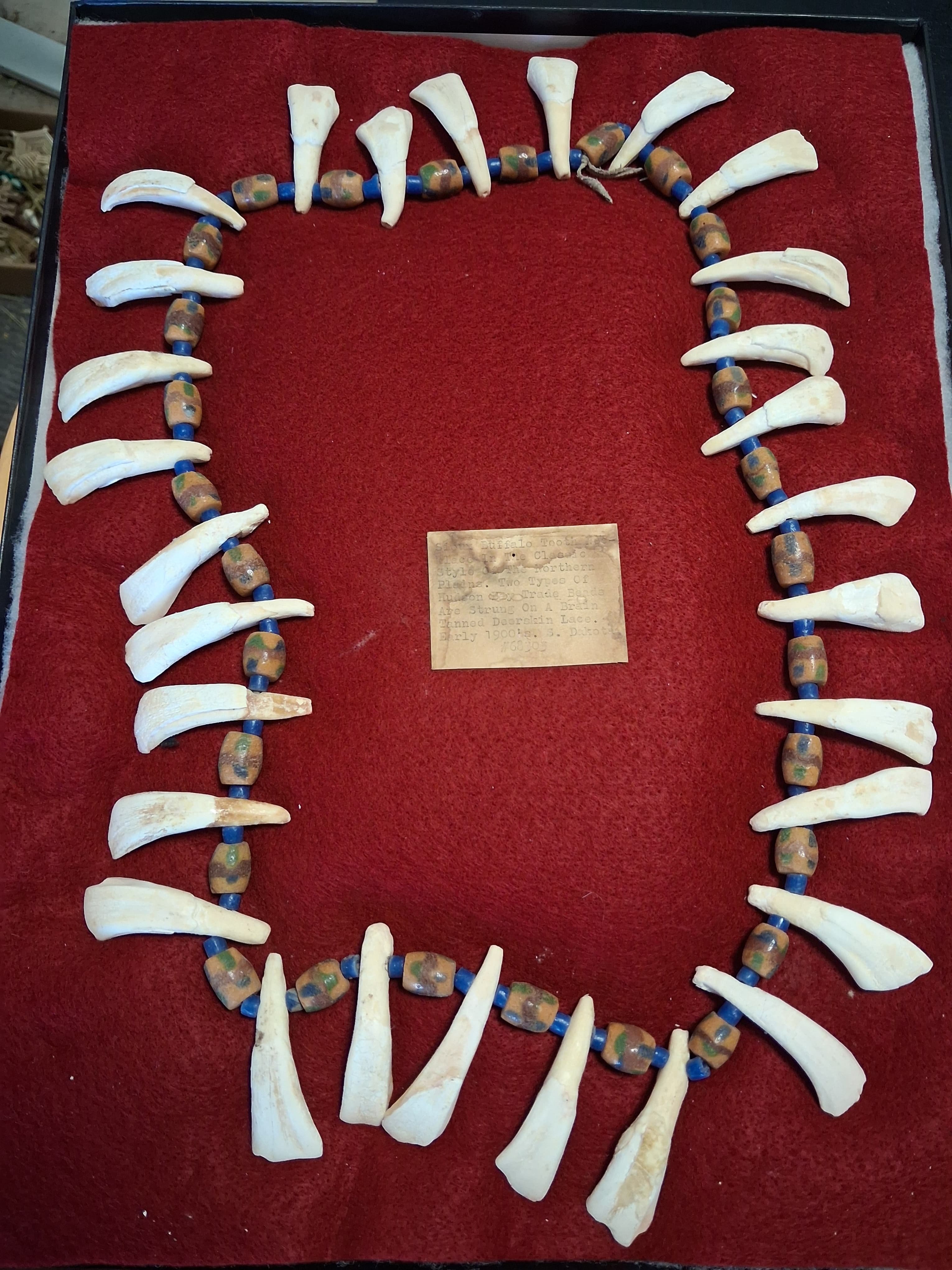 Antique Native Sioux Buffalo Tooth and Trade Bead Ceremonial Necklace